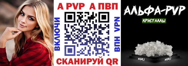 MEGA ТОР Николаевск-на-Амуре Alpha PVP крисы CK