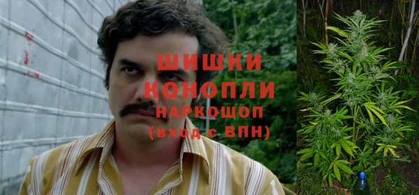 амф Аркадак