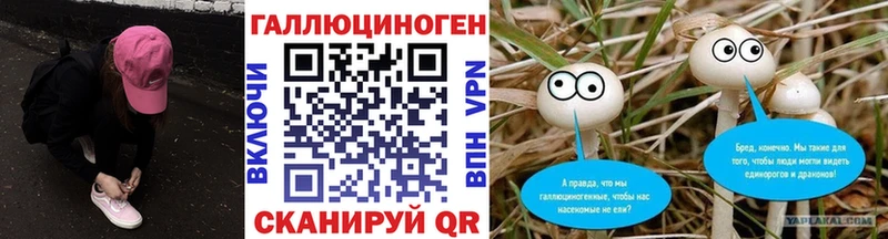 Галлюциногенные грибы Cubensis  Николаевск-на-Амуре 